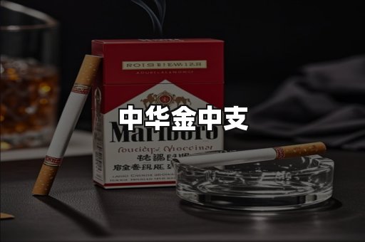 中华金中支